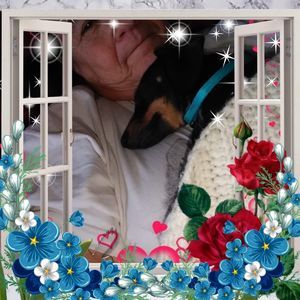 Meet your Posher, Lamona